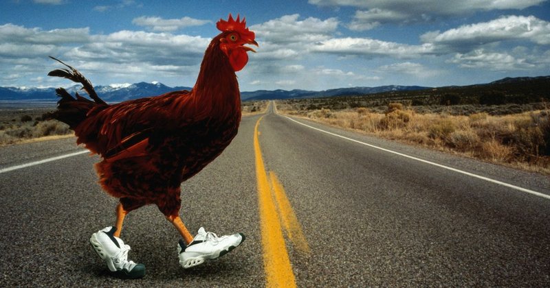 Descubre el Juego más Exclusivo de la Pista del Pollo en España, chicken road