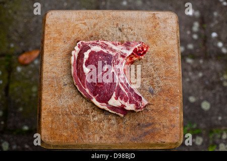 Discover beef online casino