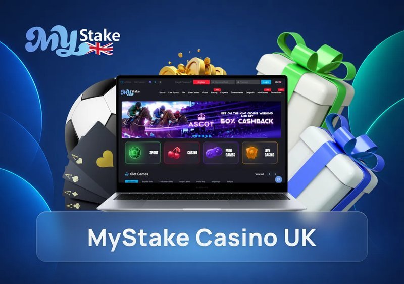 Introduction to mystake login